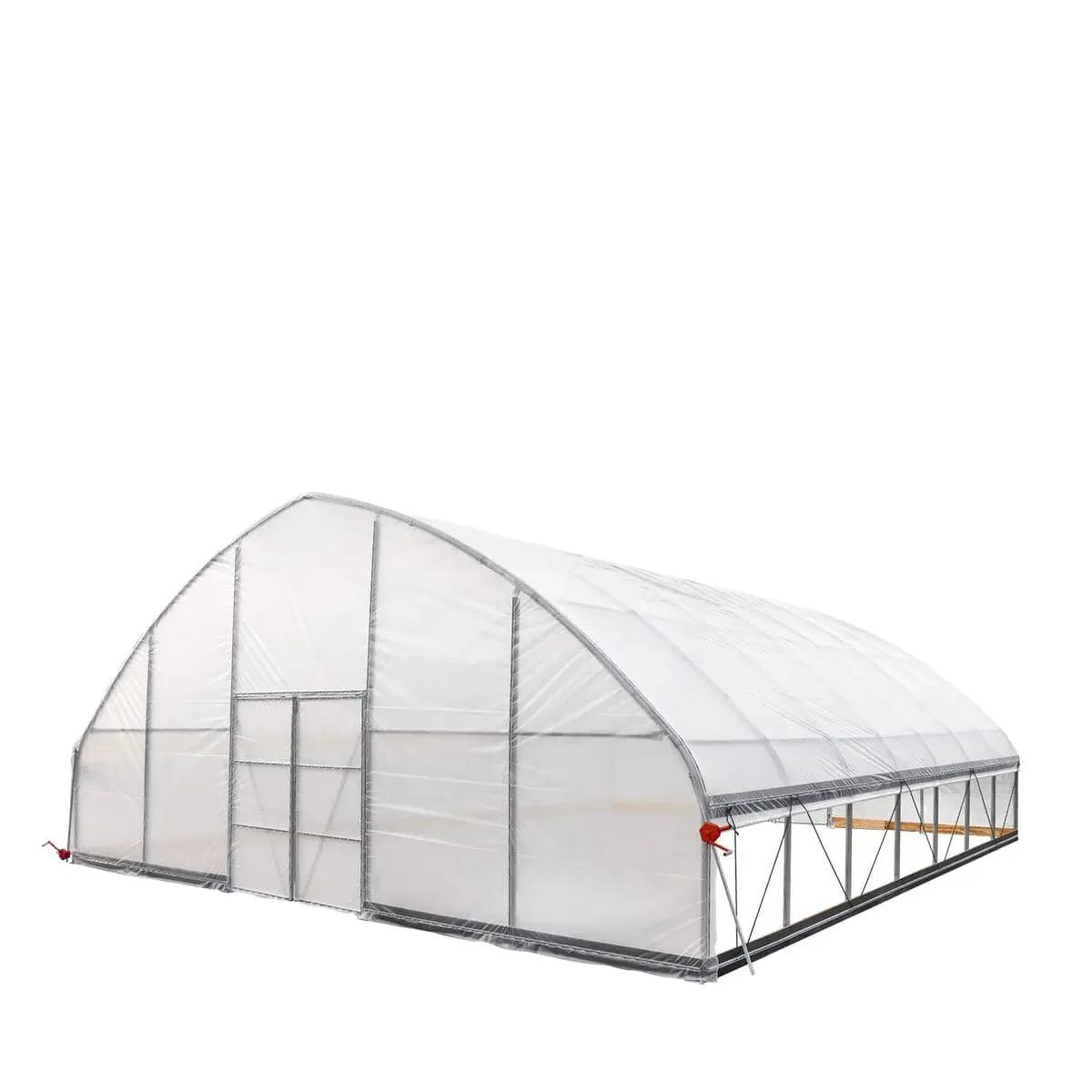 9 x 9 m Commercial Tunnel Greenhouse with 6 Mil Clear EVA Film, Roll-Up Sides, TMG-GH3030