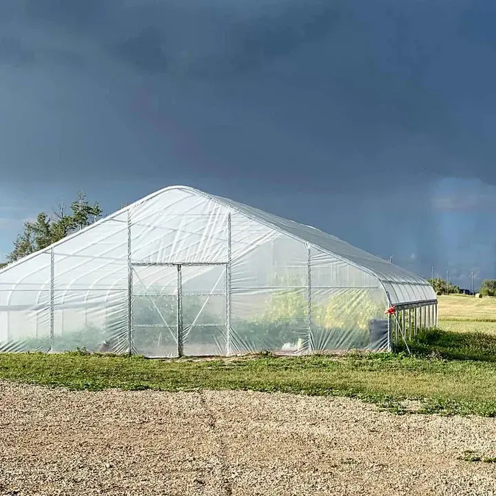9 x 12 m Commercial Tunnel Greenhouse with 6 Mil Clear Poly Covers and Roll-Up Sides, TMG-GH3040-V2 (Previously GH3040) - Image 3