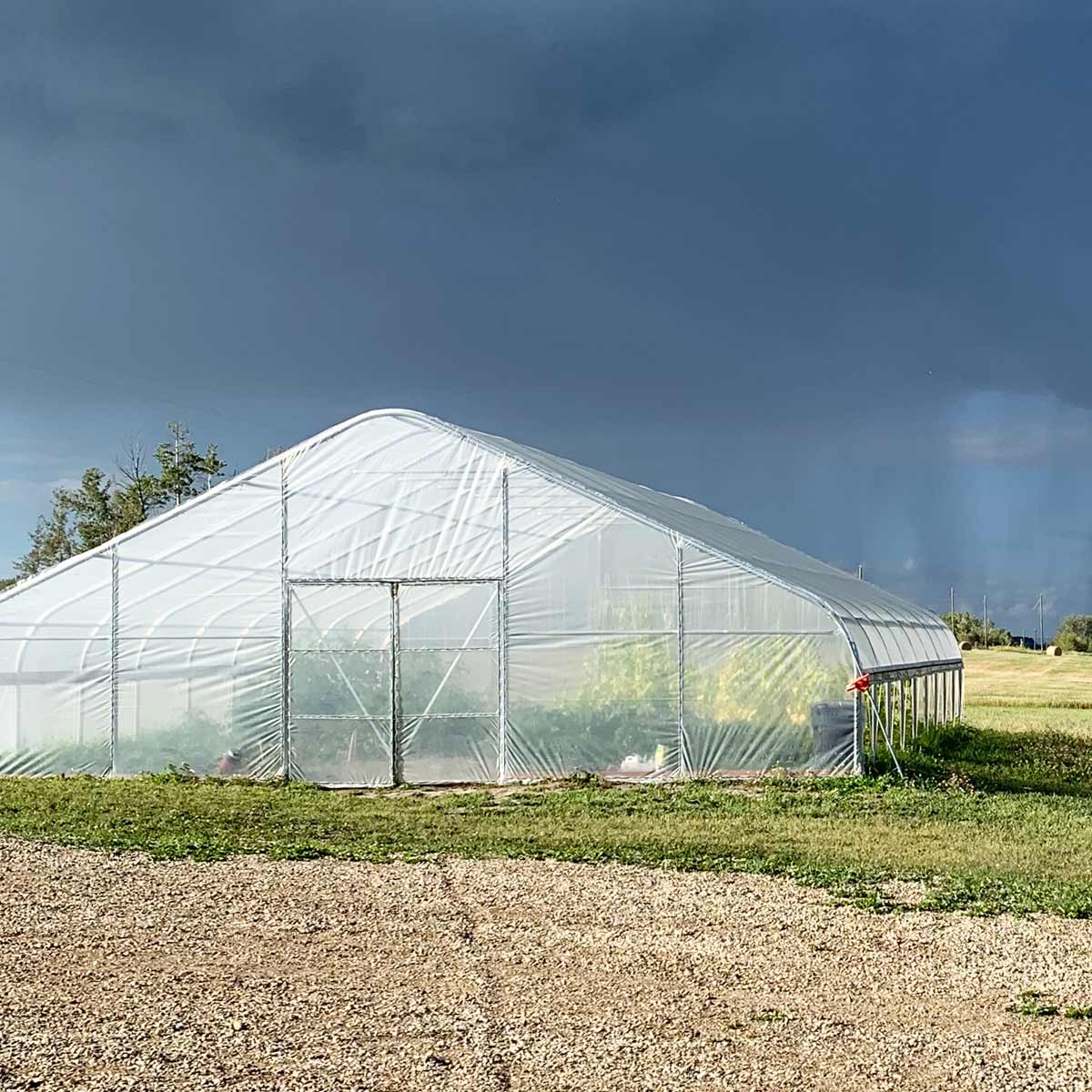 9 x 12 m Commercial Tunnel Greenhouse with 6 Mil Clear EVA Film, Roll-Up Sides, TMG-GH3040 - Image 3