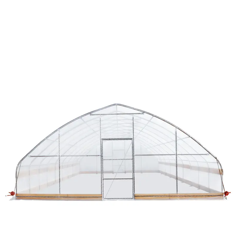 7.6 x 12 m Tunnel Greenhouse Grow Tent w/6 Mil Clear EVA Plastic Film, Cold Frame, Hand Crank Roll-Up Sides, Peak Ceiling Roof, TMG-GH2540-V2 (Previously GH2540) - Image 2
